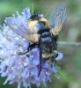212140 – Photo : Catherine Reymonet-Smitten – France (19)